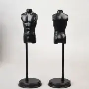 Display Rack Bust Craft 2 Pieces 1/6 Male Torso Body Form Mannequin Clothing