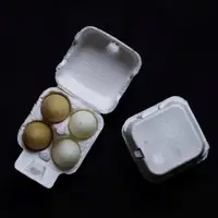在飛比找蝦皮購物優惠-現貨 雞蛋包裝盒 紙蛋盒 紙蛋盤 雞蛋盒 4粒裝 環保 紙漿
