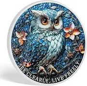 See Clearly Sober Coin - Sobriety Medallion with Owl & Triangular Symbol - Recovery Token for Wisdom & Purpose - AA Coin for Bold & Clear Living - Inspirational Sobriety Gifts