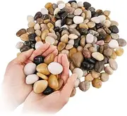 Natural River Rocks 2-3 Inch Polished Pebbles for Plants, Landscaping, Vases, Aquariums, Terrarium, Gardening - Decorative Stones Indoor Outdoor 2 LB