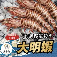 在飛比找蝦皮商城優惠-【萬哥水產】澎湖野生特A級大明蝦 1.2kg±10%/盒 冷