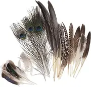 Operitacx 30 Pcs DIY Jewelry DIY Crafts Plumes Chic Plume Crafts Home Decor Handicraft Accessories