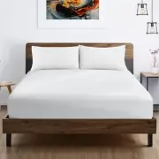 SGI bedding 100% Egyptian Cotton 600 TC Queen Size Fitted Sheet Only Soft, Sm...