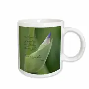 3dRose Out Beyond Ideas Rumi Quote - Wisdom - Inspirational - Iris Flower Mug
