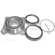 GSP Wheel Hub Assembly - 254003K