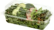 World Centric KL-CS-95 Compostable 9" x 5" x 3" Clear Clamshell 252/CS