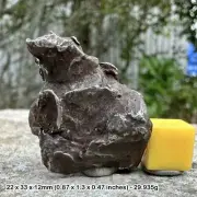 Sikhote-Alin Meteorite - Genuine Space Rock - Found in NE of Vladivostok,