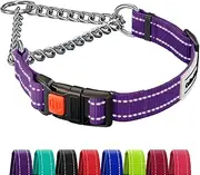 CollarsDirect Reflective Martingale Collars for Dogs Collars Training Chain Pet Choke Collar with Buckle Red Pink Mint Green Orange Blue Black Purple (L, Purple)