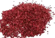 FRAINBOWZ 56ml Micro Leaf Artificial Leaf Simulation Leaf Maple Leaf Suitable for DIY Plant Landscape Sand Table Static Model Railway Diorama Decorative Landscape Scene (red)
