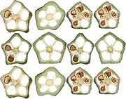 SHINEOFI 12Pcs Dried Pressed Okra Specimen Dried Pressed Fruit Slices Funny Okra Chips for DIY Jewelry Phone Cases Crafts Scrapbooking Candle Making Supplies