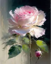 Rose Paint by Numbers for Adults-Flower Paint by Number on Canvas MT12365