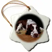 3dRose English Springer Spaniel 3 inch Snowflake Porcelain Ornament
