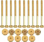 Mobestech 10 Sets Pure Socket Head Screws and Petal Nuts Assortment for Teapot Knob Replacement and Reliable Fastening Kit for Household Furniture and Applications