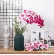 Set of 2 Artificial Phalaenopsis Orchid Stems, 28 inches