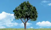 Woodland Scenics ~ New 20213~ Cool Shade Trees ~ 1-1/4" to 2" ~ 5 Pieces ~TR3548