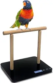 High Accuracy 1g Digital Scale Weight Birds, Weight 20Kg (1g), with New Bird Stand to Hold All Kinds of Parrot
