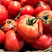 Tomato - Earl's Faux seeds