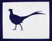 Large Standing Pheasant Stencil -1 pc -Mylar 14mil - Painting /Crafts/ Templates