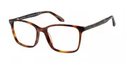 O'Neill ONO 4521 102 Men's Glasses Tortoiseshell Size 52 - Private Health Rebate - Blue Light Block Available