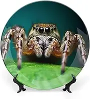 Decorative Wildlife Spider Plates, Ceramic Decorative Dishes for Display, Boho Style Dinner Plate with Display Stand, China Plate for Decoration