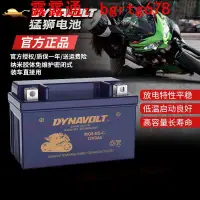 在飛比找露天拍賣優惠-猛獅摩托車電瓶GTV300維斯帕VESPA鋰GTS250 L