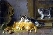 Art Julius Adam Mural Ceramic Cats Bath Backsplash Tile #2405