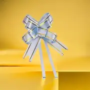 Ribbon Pull Bows Light Blue Flowers Wedding Gift Wrap Ribbon Home Party 10 Pcs