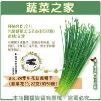 在飛比找Yahoo!奇摩拍賣優惠-【蔬菜之家滿額免運】D10.四季年花韭菜種子(韭菜花)0.2