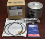 Johnson Evinrude 5008424 Piston & Ring Assembly Genuine OEM
