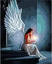 Painting by Numbers Angel Wings, DIY Acrylic Paint by Numbers Kit Canvas Oil Paint by Number for Adults Kids Beginner Coffee Shop Restaurant Decoration 16 x 20 in / 40 x 50 cm