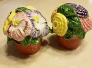 Seeds of Spring Omnibus Fitz and Floyd Salt & Pepper Shakers NIB Zinnia g2
