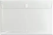 Business Source File Pocket Envelope
