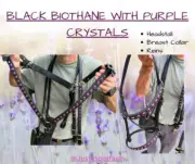 Biothane Tack Set - Endurance