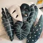 Cushion Tropical Plant Monstera Anthurium Cushion Pillow Rare Plant