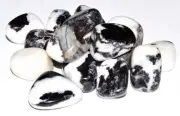 Zebra Jasper Tumbled - Healing Stone - Crystal 20-25mm (5)