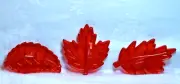 HRM Vtg Design Cookie Cutter Fall Leaf Set - Elm Maple Oak Leaf Autumn Leaves