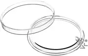 OnFireGuy Air-Tite Brand 2oz Silver Round Direct Fit 47.12mm Coin Capsule Holders Qty: 10
