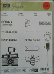 Retired Stampin' Up! Pun Intended stamp set