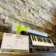 現貨可分期 公司貨 贈軟體/USB線 Korg Microkey 2代 25鍵 版本 USB版本 Midi 鍵盤 編曲