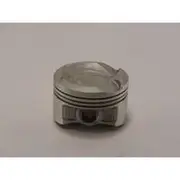 Austral Piston Set - PO855 020