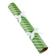 Bulk buy, - "Classic White & Green", 30cm - Box of 36 - Bonbons Crackers