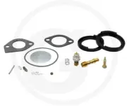 Kit Carburettor Original Briggs & Stratton 394698