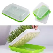 Germination Tray Tray Seed Germination Tray Seedling Tray Wheatgrass Seed Planti
