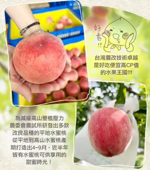 【愛上新鮮】台灣鮮採水蜜桃(8入裝/1kg±10%/箱) (4.6折)