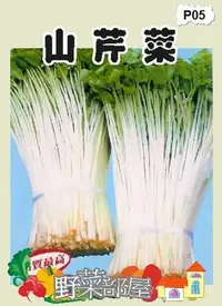 在飛比找Yahoo!奇摩拍賣優惠-【野菜部屋~】P05日本山芹菜種子1.8公克 , 又稱鴨兒芹