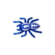 2022 Yowie Animals With Superpowers Series # PEACOCK TARANTULA
