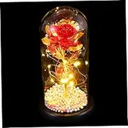 HYTROVE 1pc Romantic Rose Flower Light with Glass Cover Valentine Day Present Immortal Flower Adornment for Home Decor Chic Night Atmosphere Lamp Special Present for Loved Ones