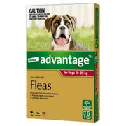 Advantage Dog 10-25Kg Large 6'S Red