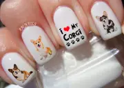 Welsh Corgi Nail Art Stickers Transfers Decals Set of 38 - A1355