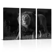 and White Lion Canvas Wall Art Lion Portrait Blue Eyes Pictures Prints Black